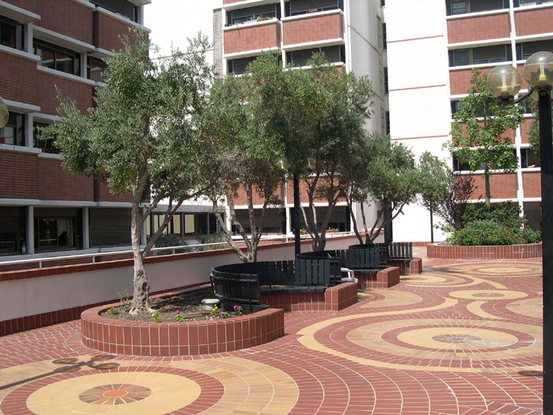 002-1.jpg